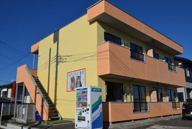 いばらき魅力見つけ隊：北茨城・猫共生型賃貸住宅 入居者ルール徹底 