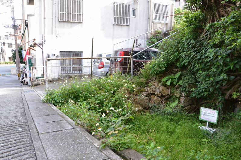 所有者が不明の土地=那覇市で、佐藤敬一撮影