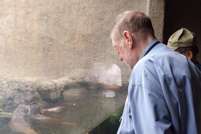 山口県宇部市のときわ動物園でカワウソを見るニコルさん＝Ｃ．Ｗ．ニコル・アファンの森財団提供