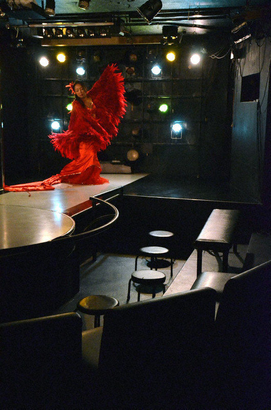 ストリップ投稿画像560枚