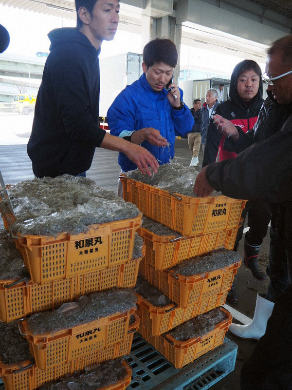 岸和田 市 コロナ 給付 金