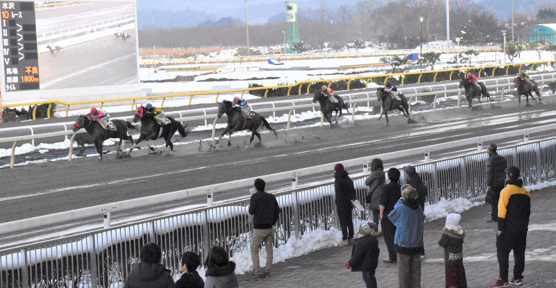 再開されたレースを見守るファン=岩手県奥州市水沢の水沢競馬場で