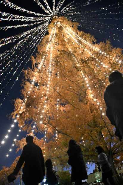 5万枚の願いきらめくクリスマスツリー メッセージカード数でギネス世界