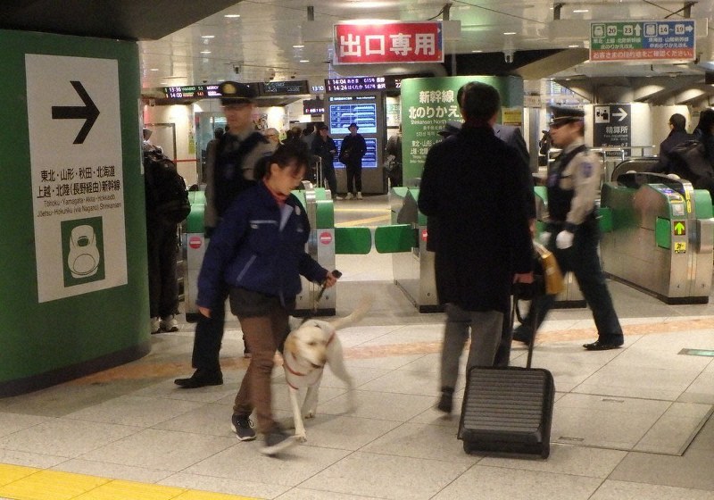 新幹線乗り換え口付近を巡回しながら危険物を探すラブラドルレトリバー=千代田区のJR東京駅で