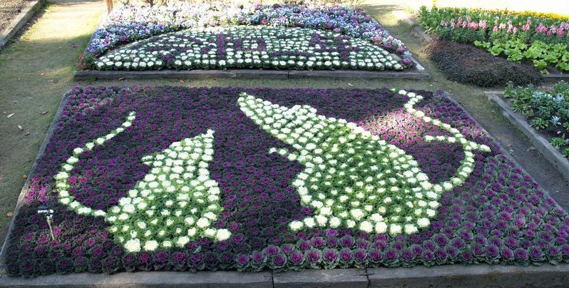 タウンたうん 来年のえと ネズミ親子の花壇 柳井 山口 毎日新聞