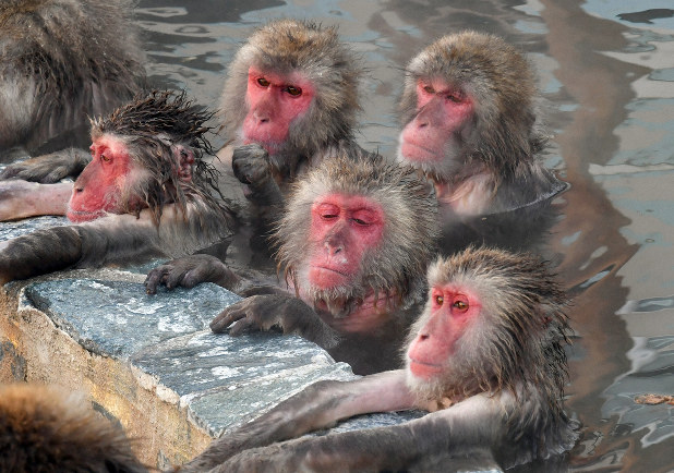 A Bathing APE 早もん勝ち！即発送 A BATHING APE おすすめ人気商品一覧 通販 - Yahoo!ショッピング