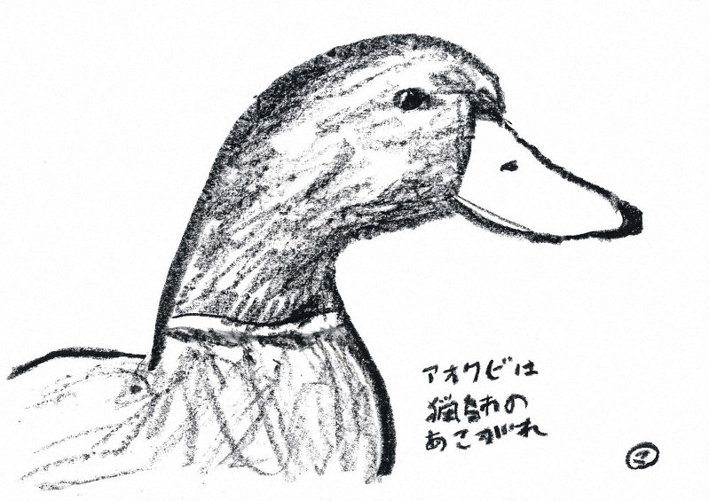 作画=マメイケダ