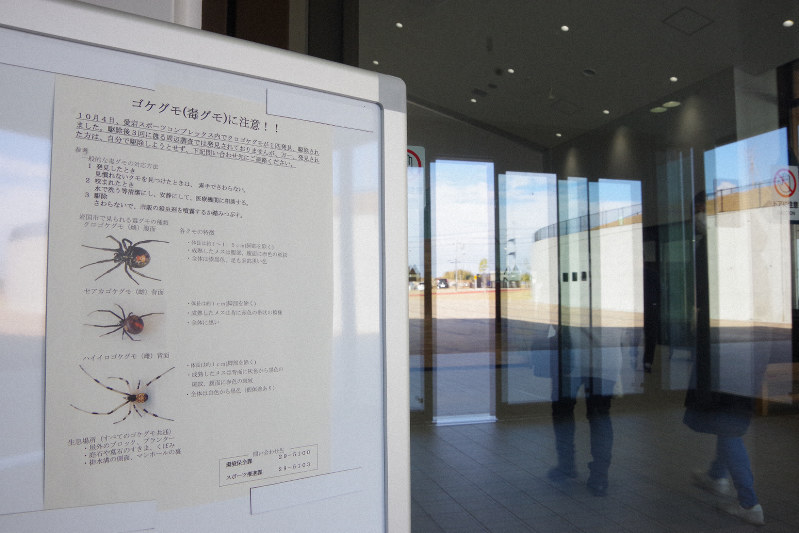 ゴケグモ注意のチラシを張り出したカルチャーセンターの入り口=山口県岩国市で、古賀亮至撮影