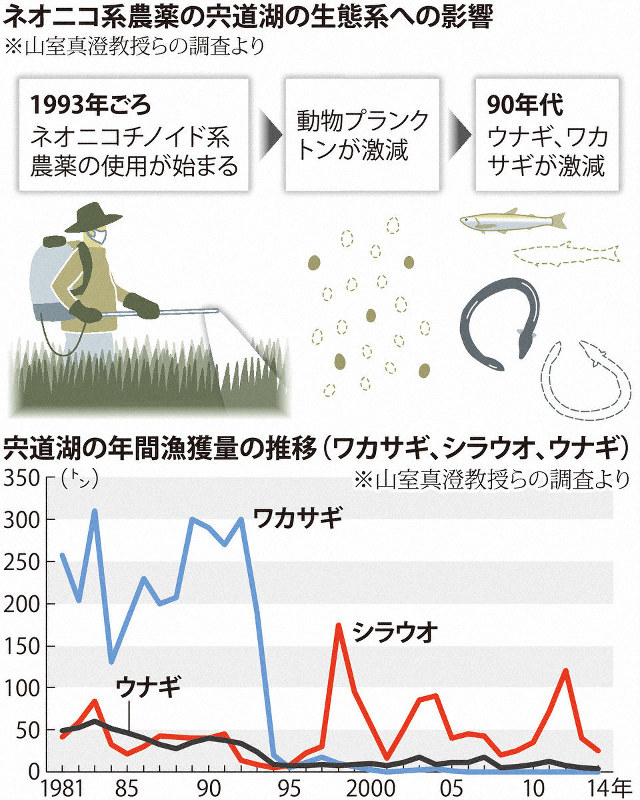 激安 同梱 さらにお得 期限注意 メラルーカ バイタリティー