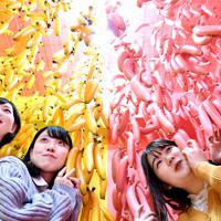 「インスタ映え」な写真を撮って楽しめるパペポミュージアム=京都市中京区のパペポミュージアムで、川平愛撮影