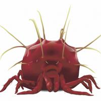 ハダニ類の一種、ミカンハダニのコンピューターグラフィックス。五箇さんに遺伝的多様性の意味を教えてくれた、企業時代の憎らしくも愛らしいライバルだ=五箇公一さん提供