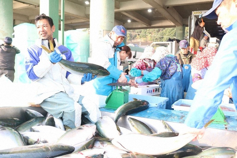 あの味この味 鹿児島 長島町のブリ 正月にぎわす出世魚 鹿児島 毎日新聞 あの味この味 鹿児島 長島町のブリ 正月にぎわす出世魚 鹿児島 毎日新聞
