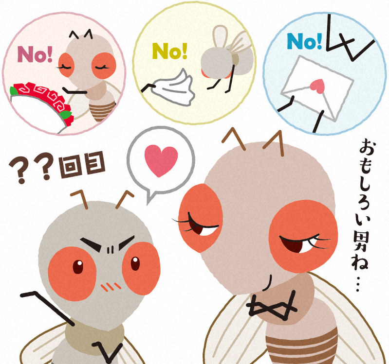 ショウジョウバエ