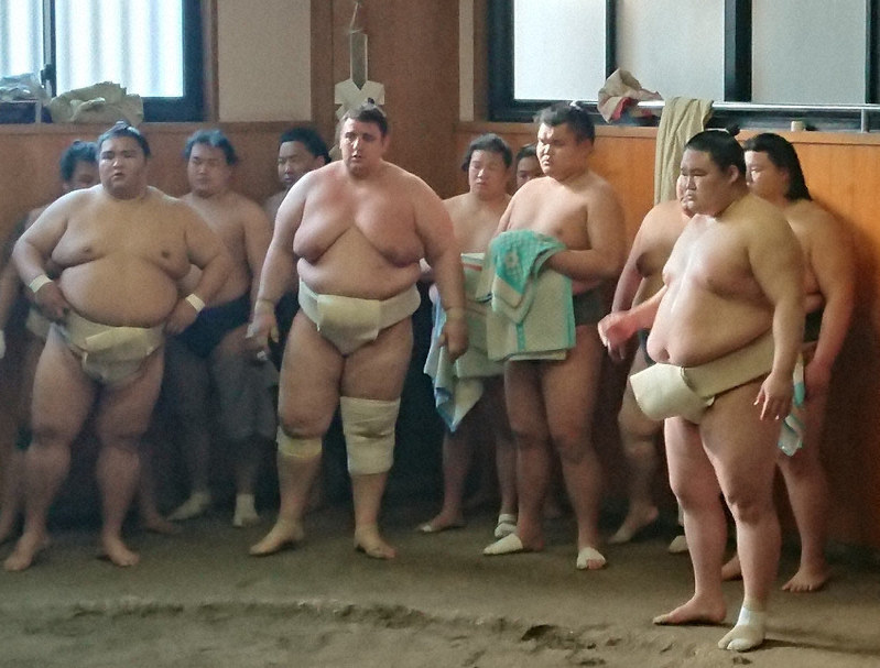 大相撲 出羽海一門稽古 豪栄道らが参加 毎日新聞
