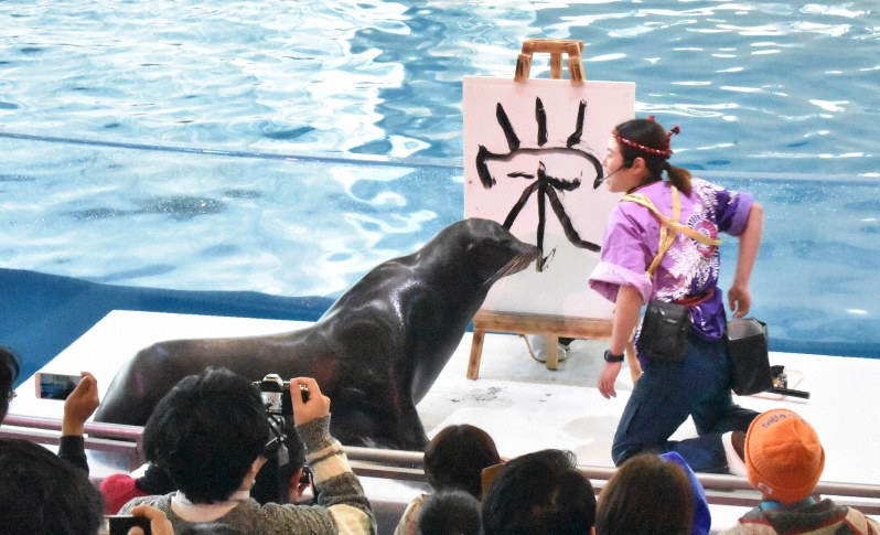 観客が見守る中でトレーナーと一緒に「栄」と書き初めしたアシカのゴエモン=大洗町磯浜町で2020年1月4日午前11時41分、太田圭介撮影