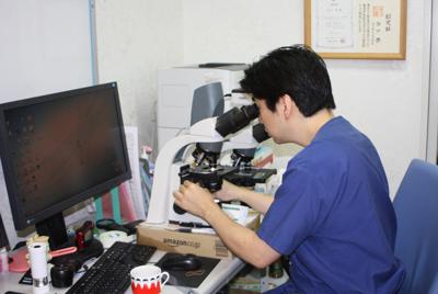 診察室で顕微鏡に向かう谷口恭医師