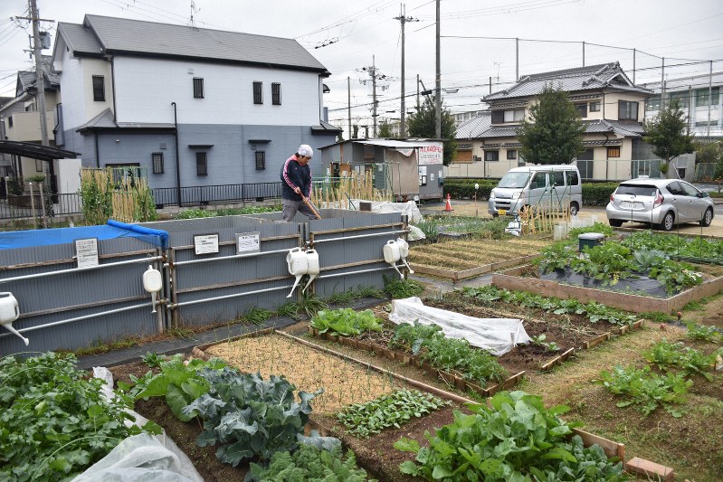 Projects to lease abandoned farmland in west Japan urban areas proving
