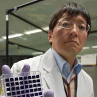 遺伝子解析に利用されるチップを示す東芝の担当者=仙台市で、柳楽未来撮影