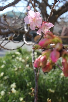 (Mainichi/Akitaka Nakajima)