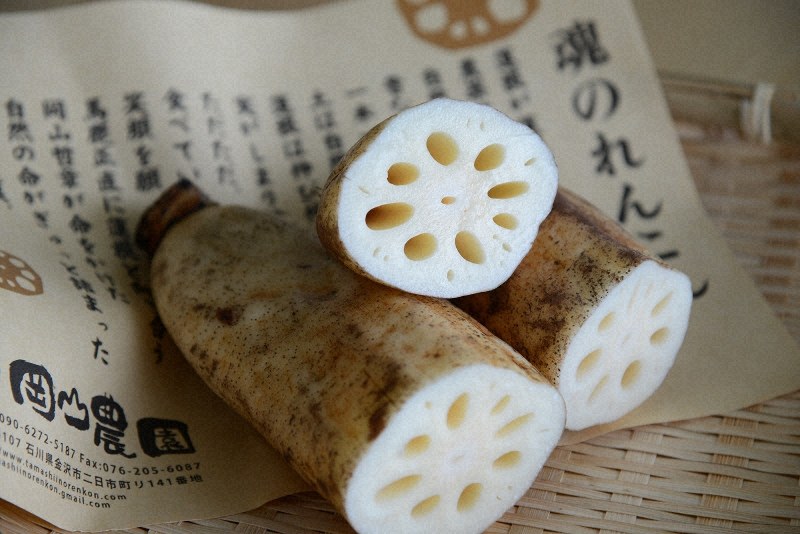 岡山農園の「魂のれんこん」=小高朋子撮影