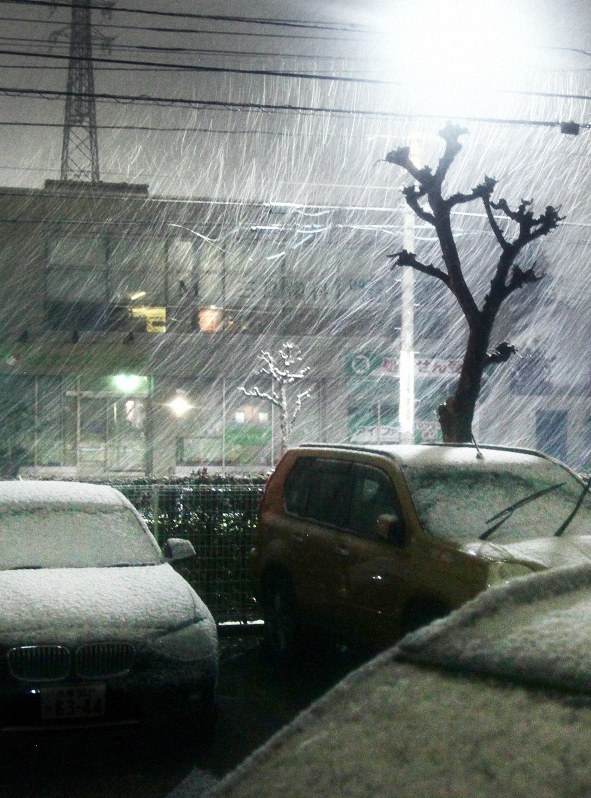 関東内陸で積雪 秩父で10センチ 都心は積もらず 毎日新聞