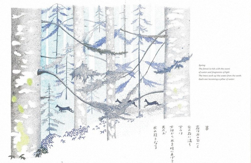 水の森2017