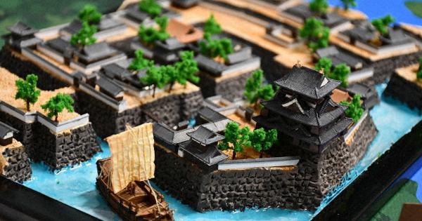 18 castle dioramas designed by local resident on display at west