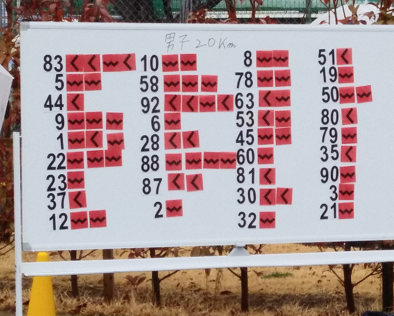 競歩日本選手権 V6狙った高橋に警告掲示ミス 精神的に難しく 3位に 毎日新聞