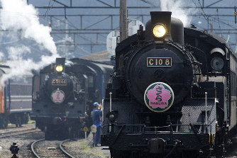 大井川鉄道は走行できる蒸気機関車を4両も保有している＝静岡県の新金谷駅で2017年4月5日、金盛正樹撮影