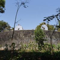 遺体が置かれる「沈黙の塔」。太陽光を遺体に当てるため、反射パネルが2枚設置されていた=インド西部グジャラート州ナブサリで2020年1月26日、松井聡撮影(特別な許可を得て撮影しています)