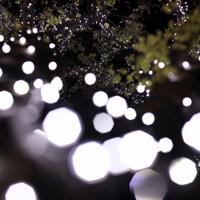 東京都品川区で=尾籠章裕撮影