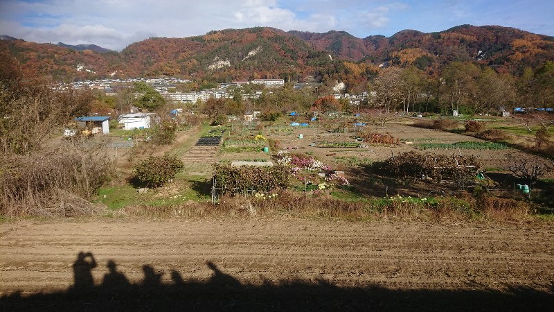 紅葉のころの浜田さんや近所の人々の畑。持ち主に応じ作物や農法、畑の外観もさまざまだ=2019年11月24日、藤原章生撮影