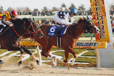 2019年のフェブラリーSを制したインティ＝JRA提供