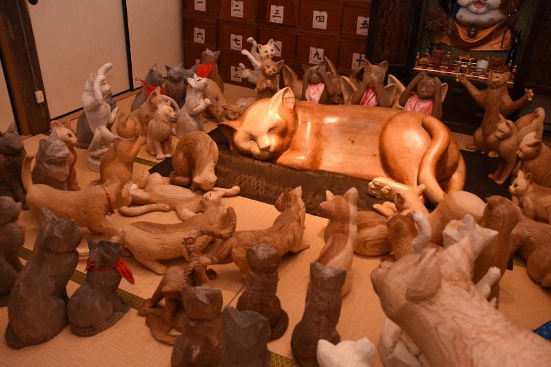 動物供養の時に 猫形木魚「玉猫」お目見え 山口・萩の雲林寺 | 毎日新聞