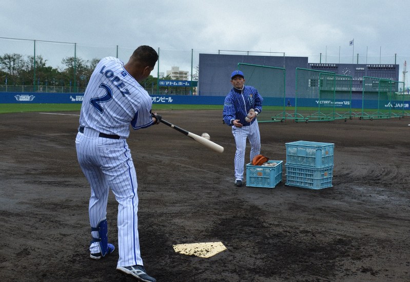 夢と希望 詰まったプロ野球のキャンプ中継 練習をひたすら放送する番組が人気 毎日新聞