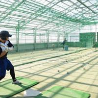 室内練習場で打撃練習に励む選手たち=北海道芽室町で