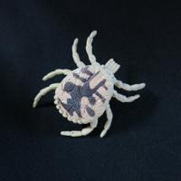 ニュージーランドの動物園で売っていたマダニのおもちゃ。ピンを接着して、ピンバッジとして愛用している=五箇公一さん提供