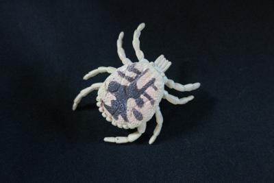 ニュージーランドの動物園で売っていたマダニのおもちゃ。ピンを接着して、ピンバッジとして愛用している＝五箇公一さん提供