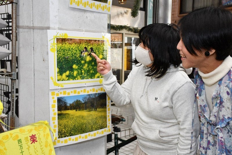 商店街アーケード内に飾られた四万十川沿いの菜の花の写真=高知県四万十市内で、上野力撮影