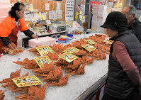 This file photo taken on Dec. 23, 2019 shows snow crabs at a market stall in the city of Tottori. (Mainichi/Hirofumi Nohara)