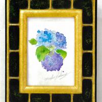 あじさい(2018年梅雨)=事務所提供