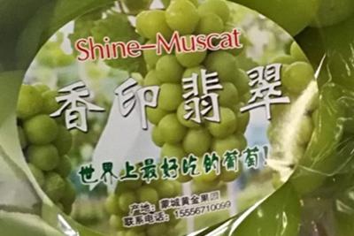 中国で生産されたシャインマスカット＝農林水産省提供