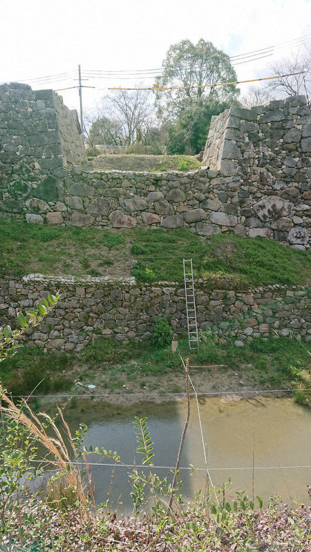 大和 郡山 市 教育 委員 会