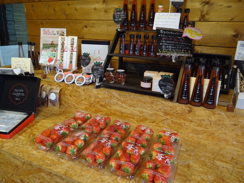 見つけた この店 上越 大潟いちご園 苺の花ことば 多くの人々に幸せ届ける 新潟 毎日新聞