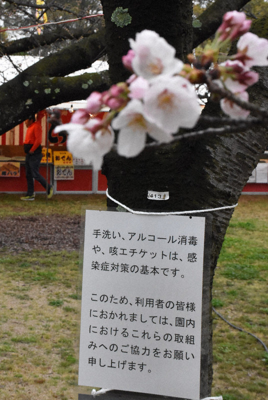 お花見一変 新型コロナ影響 松山でも寂しく 愛媛 毎日新聞