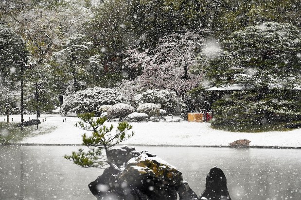 関東甲信の広い範囲で雪 都心で3月下旬積雪は32年ぶり 写真特集25 29 毎日新聞