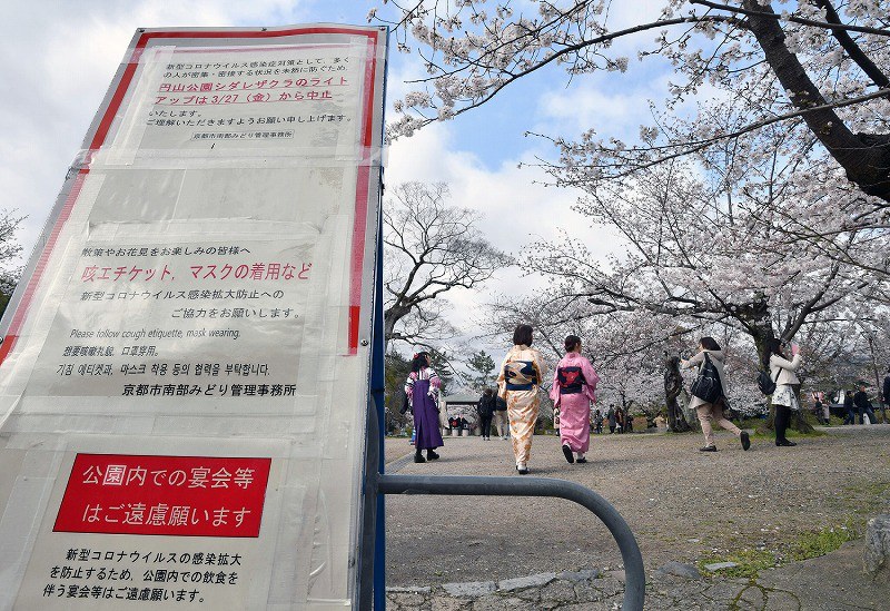 京都 円山公園のしだれ桜 夜間ライトアップ中止に 写真特集1 5 毎日新聞