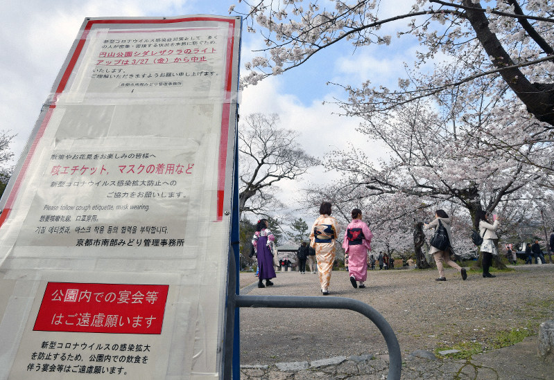 桜が見ごろを迎えている京都・円山公園。しだれ桜の夜間ライトアップが一度は始まったが、その後の新型コロナウイルス感染拡大を受けて27日から急きょ中止となった。マスクの着用や宴会の自粛を促す張り紙もあちこちに見られた=京都市東山区で2020年3月29日午後2時34分、川平愛撮影