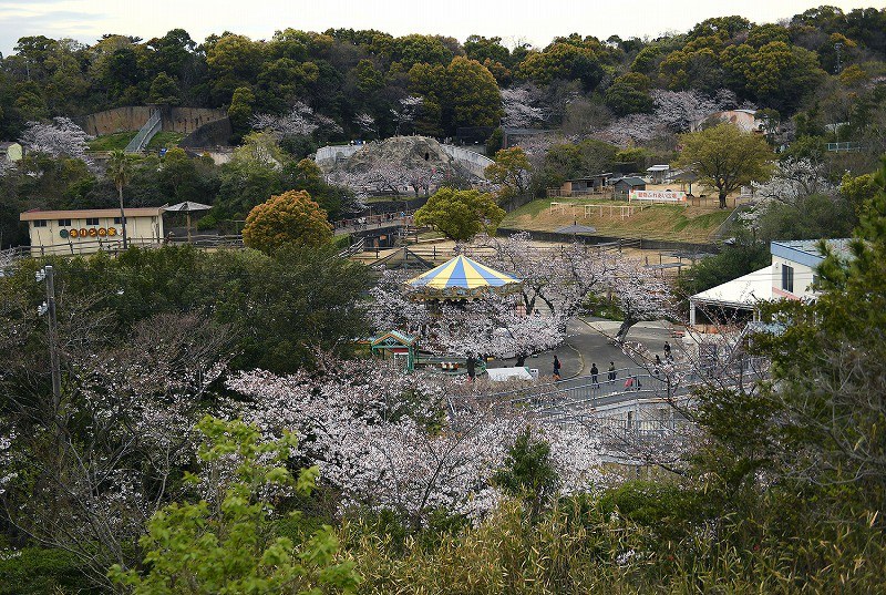 みさき公園」ついに閉園 多くの人に愛され63年 大阪 [写真特集5/7