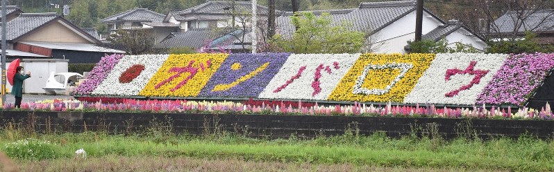 国道10号沿いにお目見えした「ガンバロウ」の花文字=宮崎市浮田で2020年3月30日午後3時46分、塩月由香撮影